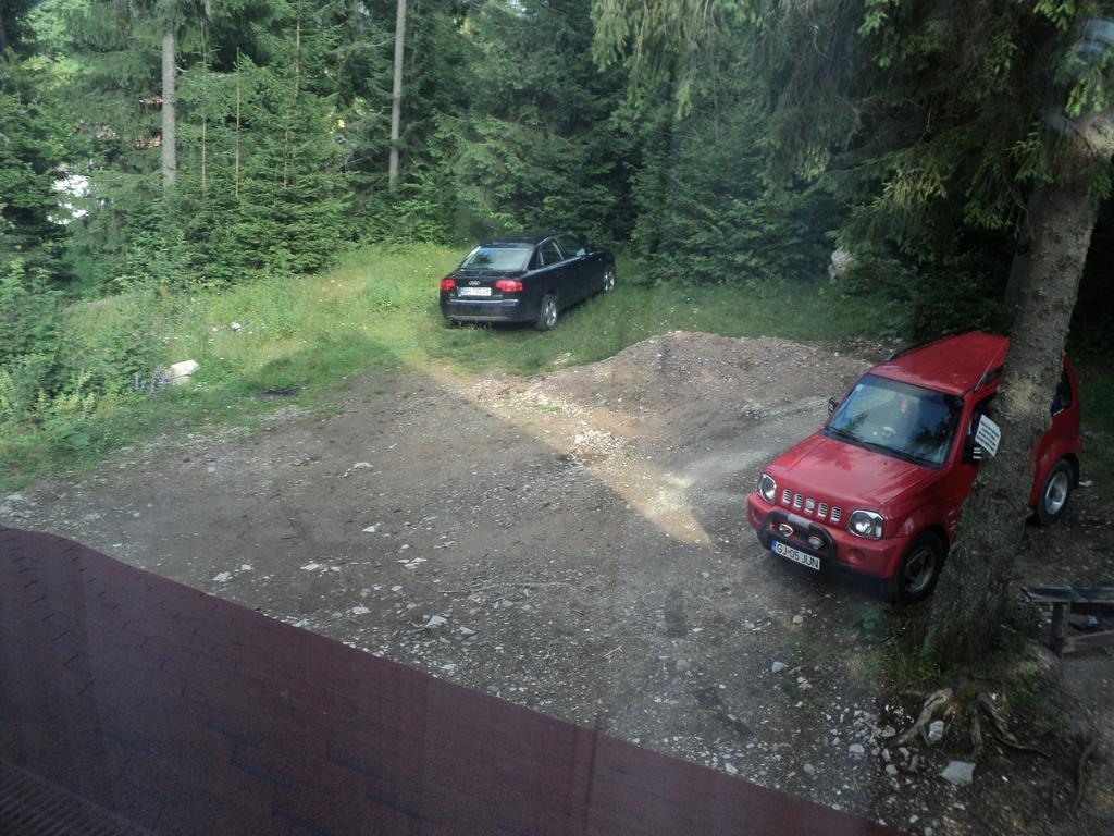 Cabana Suvenirurilor Scarisoara  Eksteriør bilde